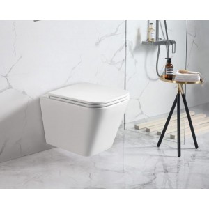 Enox 66 Rimless Wall Hung Toilet Pan Only